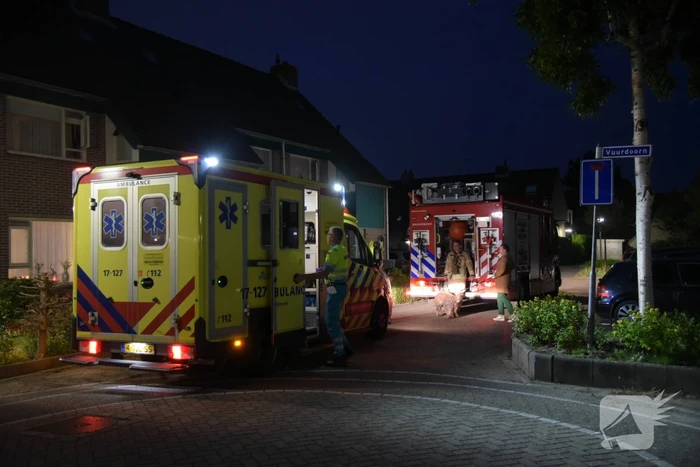 nieuws ribes poortugaal