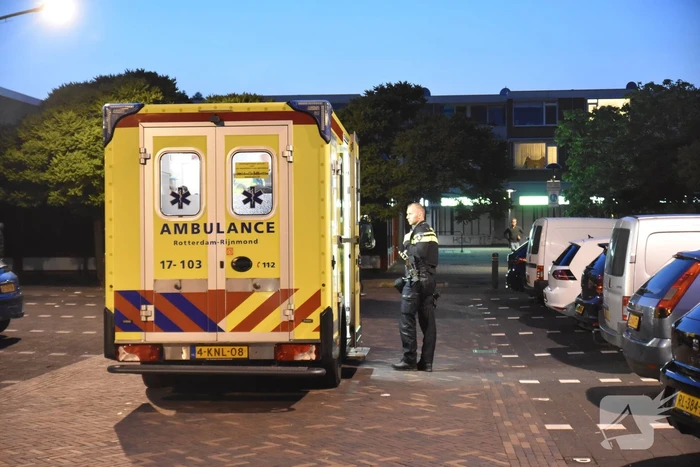 steekincident zwaluwlaan vlaardingen