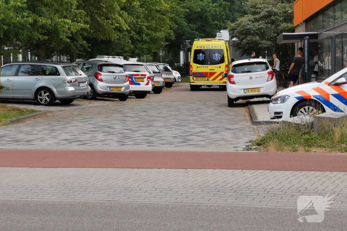 Mishandeling in Polenhuisvesting