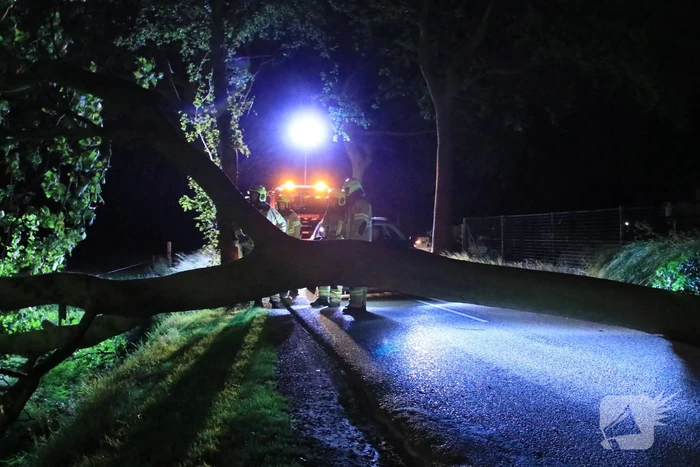 Harde wind blaast flinke boom om