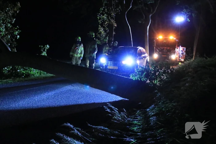 Harde wind blaast flinke boom om