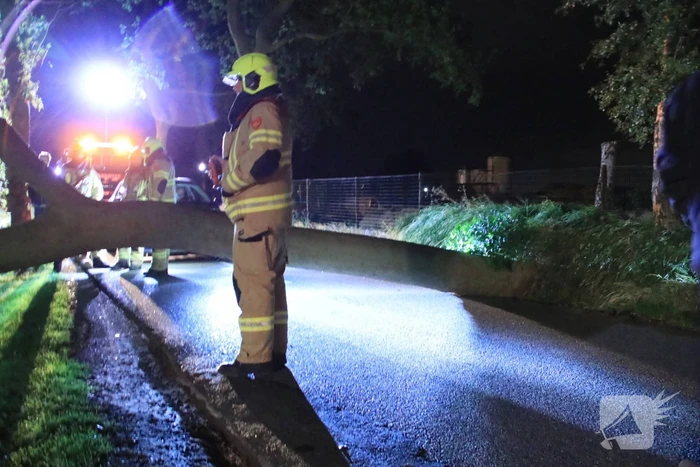 Harde wind blaast flinke boom om