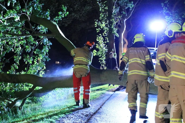 Harde wind blaast flinke boom om