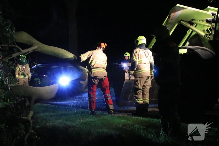 Harde wind blaast flinke boom om