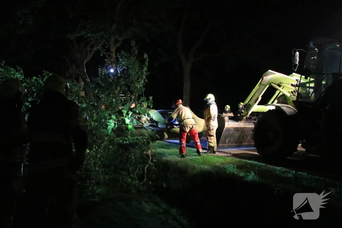 Harde wind blaast flinke boom om