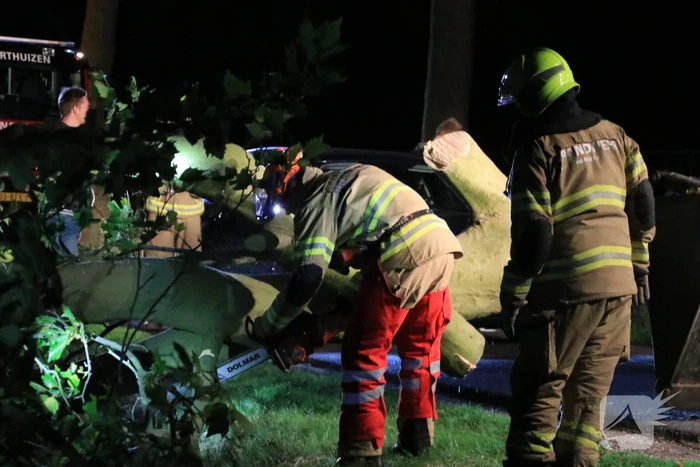 Harde wind blaast flinke boom om
