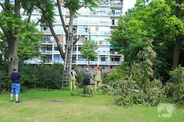 Fietspad afgesloten door gevaarlijk hangende boom