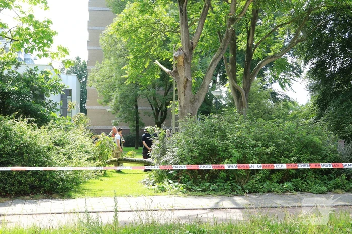 Fietspad afgesloten door gevaarlijk hangende boom