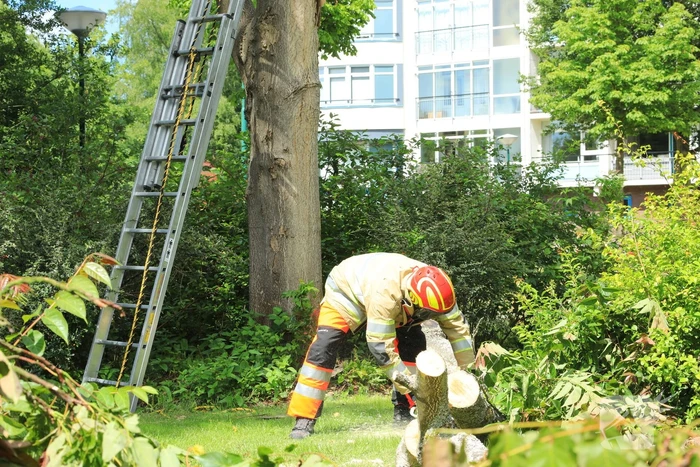 Fietspad afgesloten door gevaarlijk hangende boom