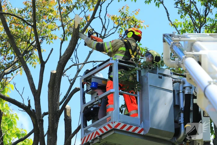 Fietspad afgesloten door gevaarlijk hangende boom