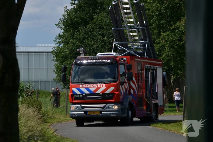 Paard belandt in de sloot
