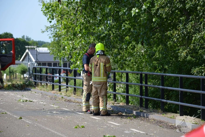 Gevaarlijke loshangende tak verwijderd door brandweer