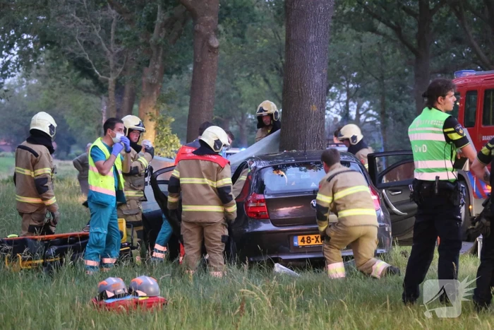Bestuurder bekneld bij botsing tegen boom
