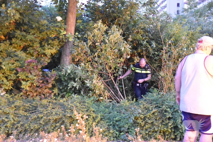 ongeval bernweg vlaardingen
