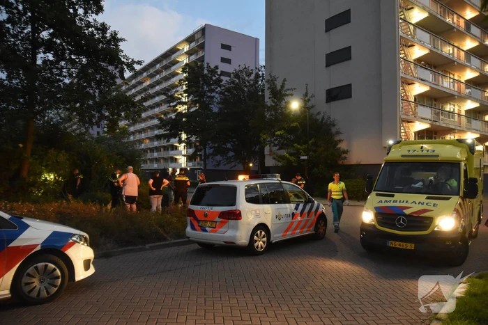 Auto in bosjes geparkeerd bij verwisselen rem en gaspedaal