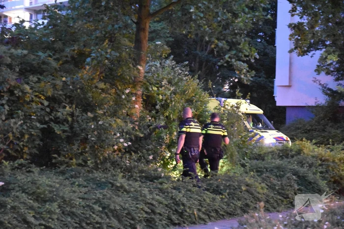 Auto in bosjes geparkeerd bij verwisselen rem en gaspedaal