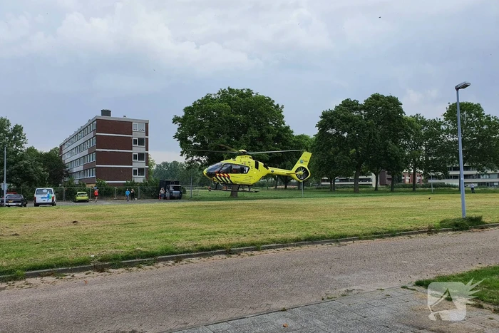 nieuws fledermauspad hoogvliet rotterdam
