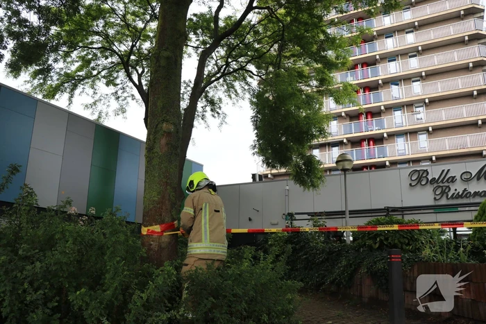 Grote tak dreigt af te breken