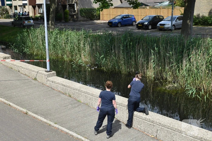 Te water geraakte persoon overleden in Prins Alexander