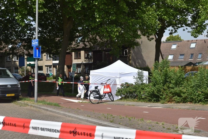 Te water geraakte persoon overleden in Prins Alexander
