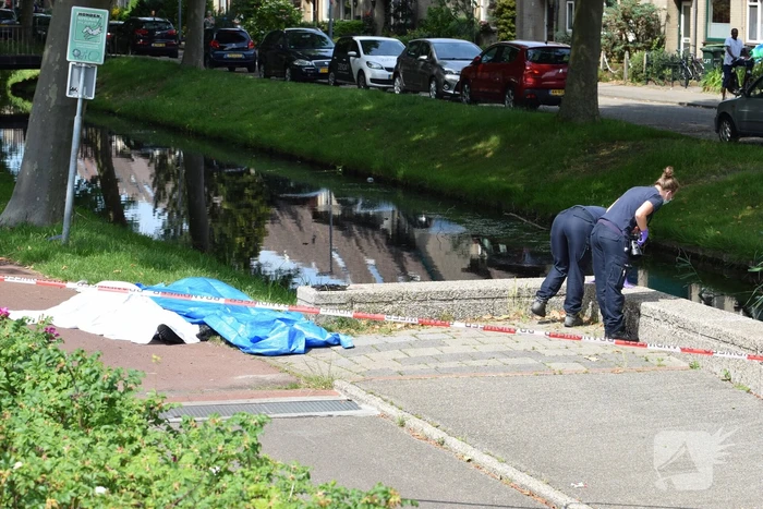 Te water geraakte persoon overleden in Prins Alexander