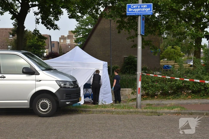 Te water geraakte persoon overleden in Prins Alexander