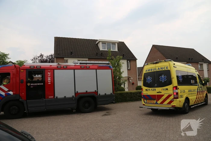 brand morel uden
