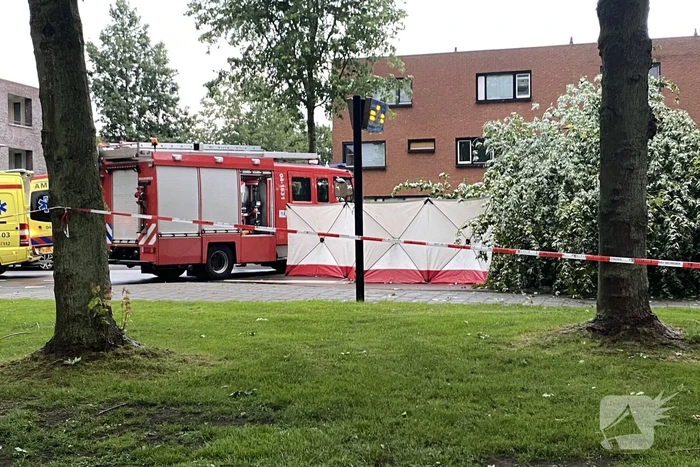 Vrouw overleden door omgevallen boom