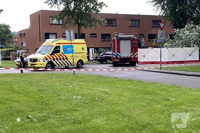 Vrouw overleden door omgevallen boom