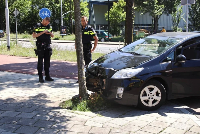 Automobilist botst tegen boom na uitwijkmanoeuvre