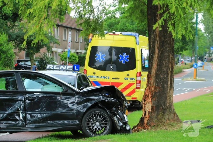Auto vliegt uit de bocht en klapt tegen boom