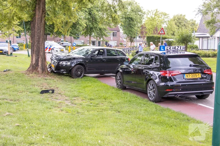 Auto vliegt uit de bocht en klapt tegen boom