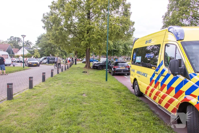 Auto vliegt uit de bocht en klapt tegen boom
