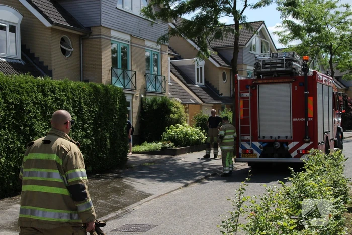 Bewoner voorkomt brand in coniferenhaag