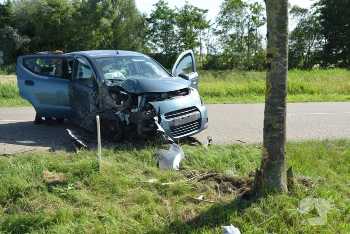 Automobilist botst tegen boom