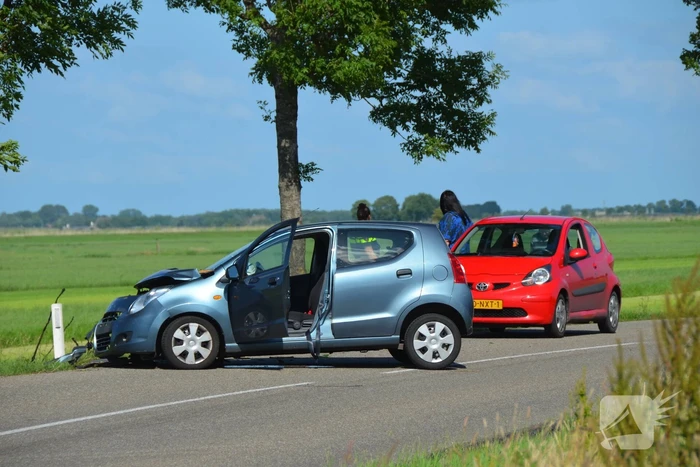 Automobilist botst tegen boom