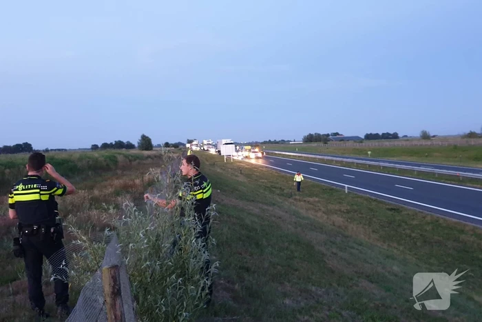Weg dicht na losgebroken paarden