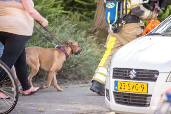 Flinke brand in flatwoning