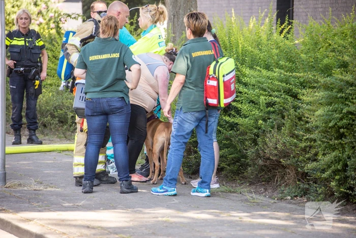Flinke brand in flatwoning