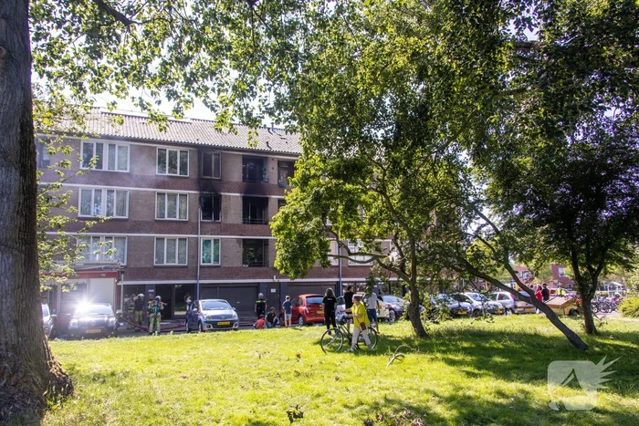 Flinke brand in flatwoning