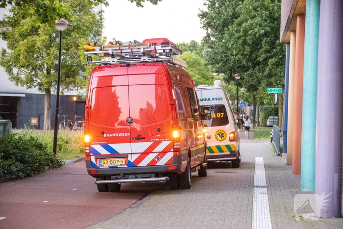 Gans met gebroken vleugel gered in Nieuwland