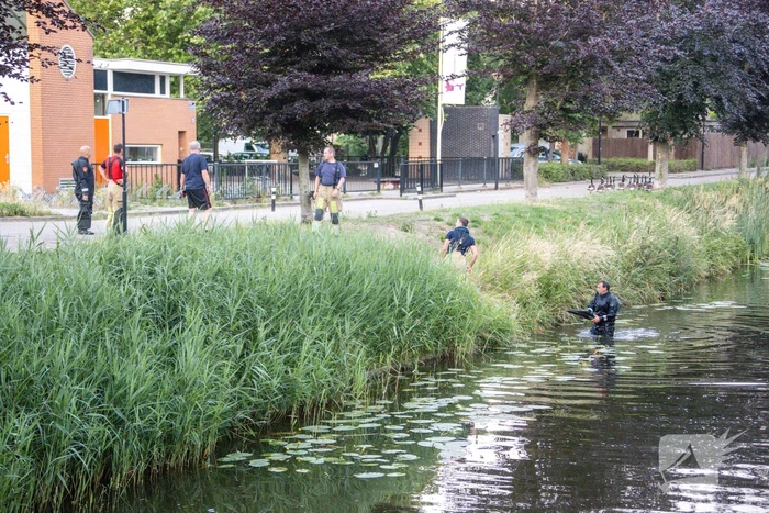 Gans met gebroken vleugel gered in Nieuwland