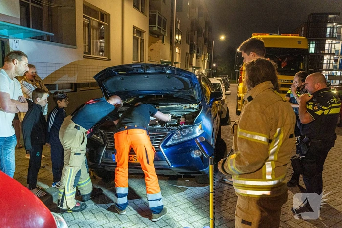Poes Luna houdt brandweermannen en berger uren zoet met auto