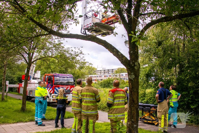 ongeval griffensteijnselaan zeist