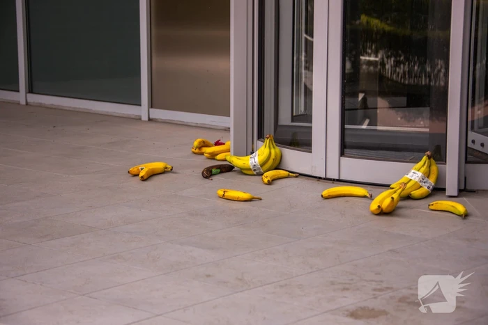 Rechtbank Amersfoort gebarricadeerd door vele bananen