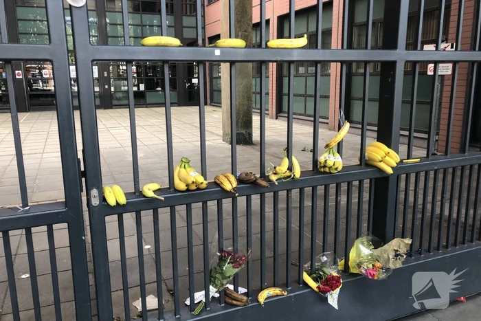 Bananen neergelegd bij Rechtbank Noord-Nederland