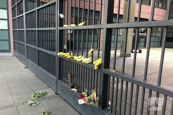 Bananen neergelegd bij Rechtbank Noord-Nederland