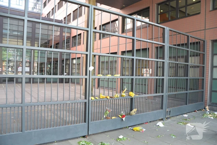 Bananen neergelegd bij Rechtbank Noord-Nederland