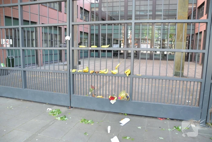 Bananen neergelegd bij Rechtbank Noord-Nederland