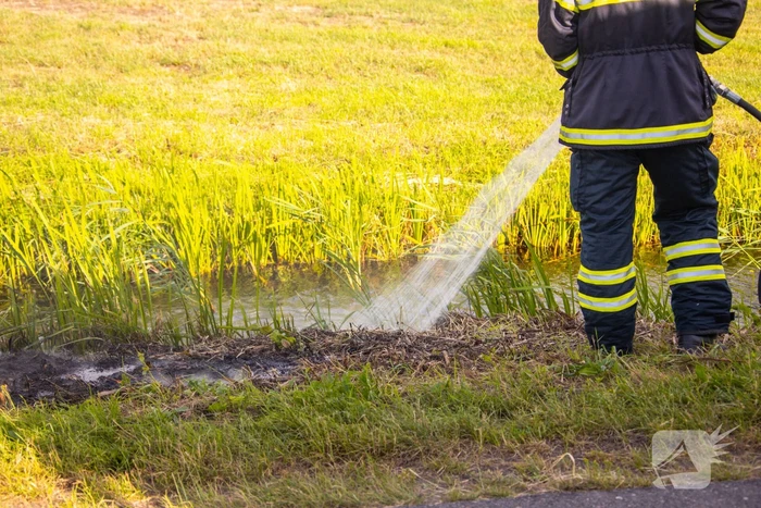 Berm vliegt in brand in buitengebied